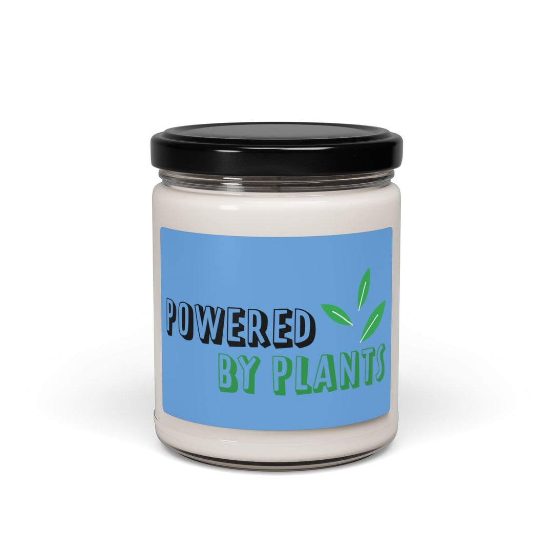   Scented Soy Candle, 9oz  Nextuniq 