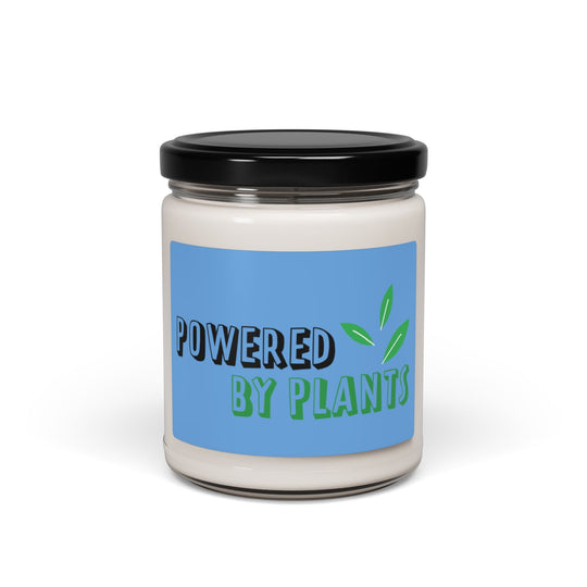   Scented Soy Candle, 9oz  Nextuniq 