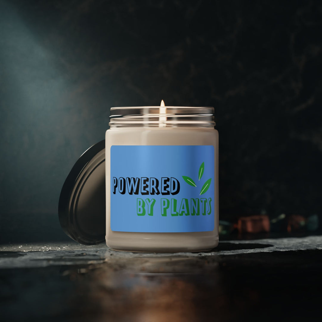   Scented Soy Candle, 9oz  Nextuniq 