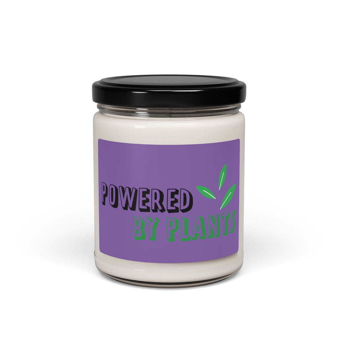   Scented Soy Candle, 9oz  Nextuniq 