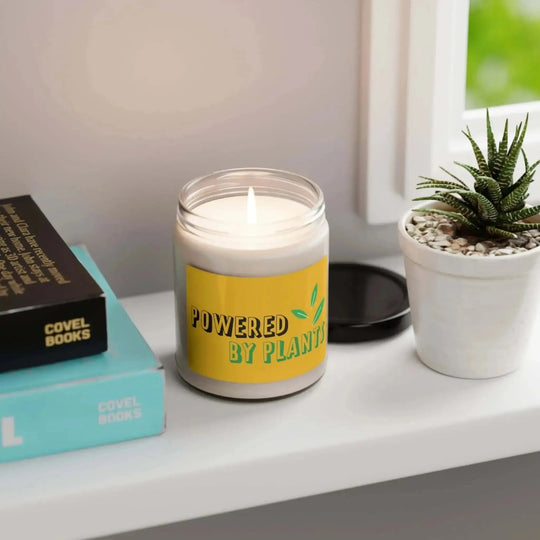 Scented soy candle - home & living - 20911234987093650808 - Nextuniq