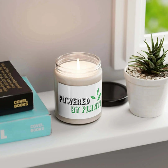 Scented soy candle - home & living - 21508952537803517023 - Nextuniq