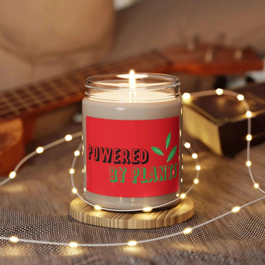 Scented soy candle - home & living - 24642071580805351525 - Nextuniq